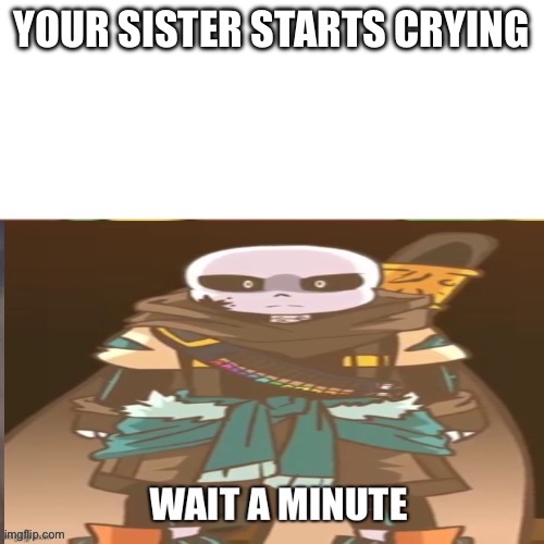 Hol up | YOUR SISTER STARTS CRYING | image tagged in hol up | made w/ Imgflip meme maker