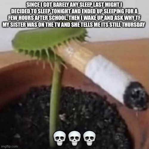 I haven’t had any dinner | SINCE I GOT BARELY ANY SLEEP LAST MIGHT I DECIDED TO SLEEP TONIGHT AND ENDED UP SLEEPING FOR A FEW HOURS AFTER SCHOOL. THEN I WAKE UP AND ASK WHY TF MY SISTER WAS ON THE TV AND SHE TELLS ME ITS STILL THURSDAY; 💀💀💀 | image tagged in plant smoking a cigarette | made w/ Imgflip meme maker
