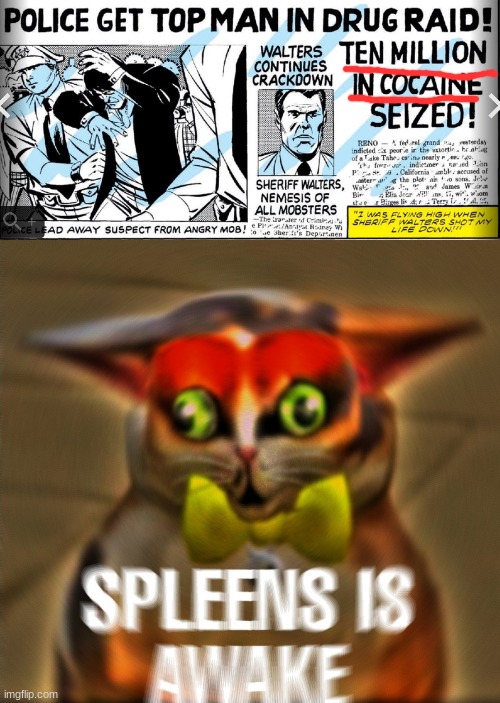 Was reading the OG She-Hulk comics and I saw that headline, couldn't help but think of Spleens lol | image tagged in spleens is awake,cocaine | made w/ Imgflip meme maker