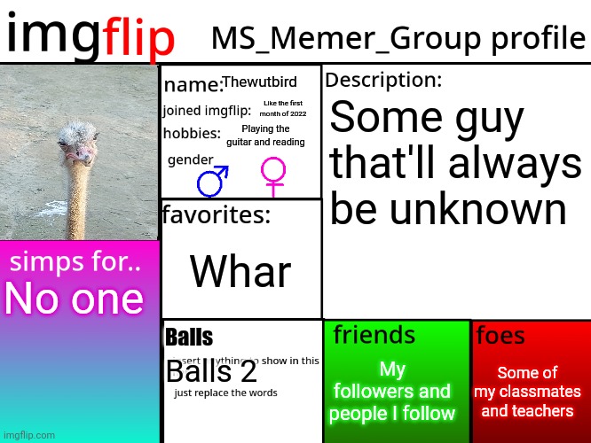 MSMG Profile | Thewutbird; Some guy that'll always be unknown; Like the first month of 2022; Playing the guitar and reading; Whar; No one; Balls; Some of my classmates and teachers; My followers and people I follow; Balls 2 | image tagged in msmg profile | made w/ Imgflip meme maker