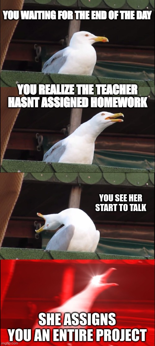 Inhaling Seagull Meme | YOU WAITING FOR THE END OF THE DAY; YOU REALIZE THE TEACHER HASNT ASSIGNED HOMEWORK; YOU SEE HER START TO TALK; SHE ASSIGNS YOU AN ENTIRE PROJECT | image tagged in memes,inhaling seagull | made w/ Imgflip meme maker