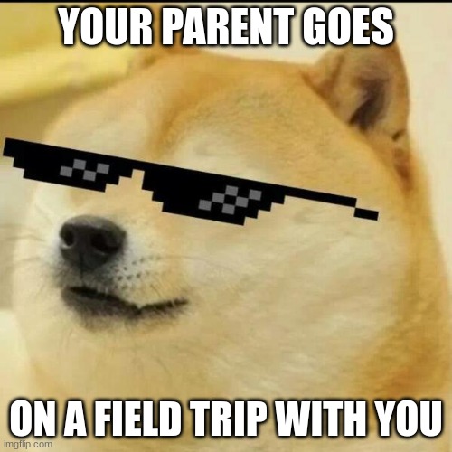 Sunglass Doge | YOUR PARENT GOES; ON A FIELD TRIP WITH YOU | image tagged in sunglass doge | made w/ Imgflip meme maker