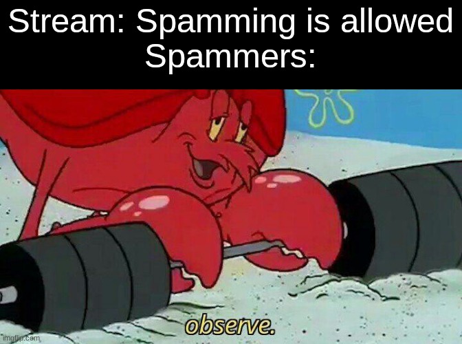 Observe | Stream: Spamming is allowed
Spammers: | image tagged in observe | made w/ Imgflip meme maker