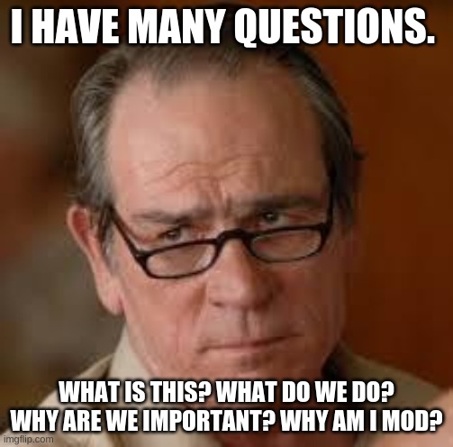 Some one explain to me | I HAVE MANY QUESTIONS. WHAT IS THIS? WHAT DO WE DO? WHY ARE WE IMPORTANT? WHY AM I MOD? | image tagged in my face when someone asks a stupid question | made w/ Imgflip meme maker