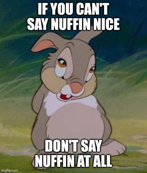 Thumper | IF YOU CAN'T SAY NUFFIN NICE; DON'T SAY NUFFIN AT ALL | image tagged in thumper | made w/ Imgflip meme maker