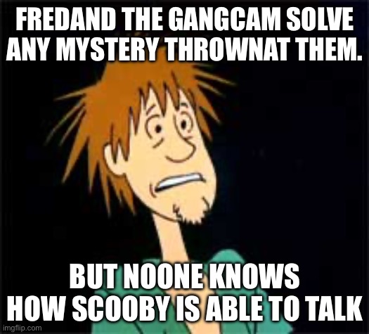 Shaggy - Zoiks | FREDAND THE GANGCAM SOLVE
ANY MYSTERY THROWNAT THEM. BUT NOONE KNOWS
HOW SCOOBY IS ABLE TO TALK | image tagged in shaggy - zoiks | made w/ Imgflip meme maker