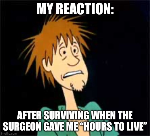 Shaggy - Zoiks | MY REACTION: AFTER SURVIVING WHEN THE SURGEON GAVE ME “HOURS TO LIVE” | image tagged in shaggy - zoiks | made w/ Imgflip meme maker