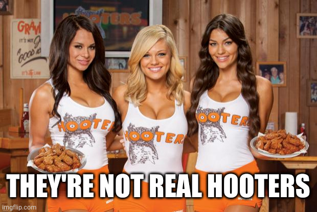 Hooters Girls | THEY'RE NOT REAL HOOTERS | image tagged in hooters girls | made w/ Imgflip meme maker