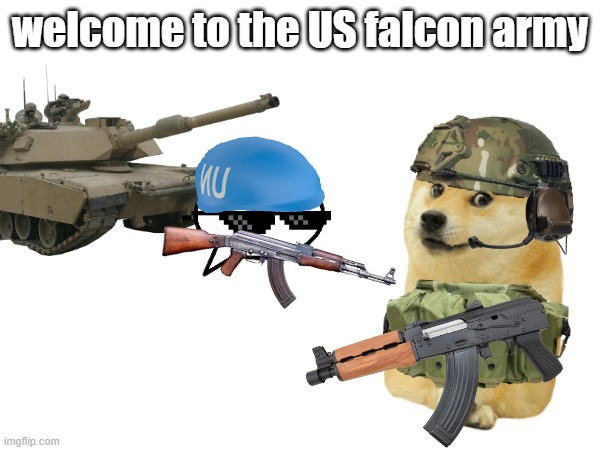 Brotha | welcome to the US falcon army | image tagged in usa | made w/ Imgflip meme maker
