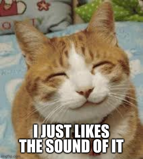 Happy cat | I JUST LIKES THE SOUND OF IT | image tagged in happy cat | made w/ Imgflip meme maker