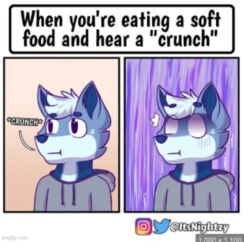 0-o | image tagged in furry,the furry fandom,memes,lol so funny | made w/ Imgflip meme maker