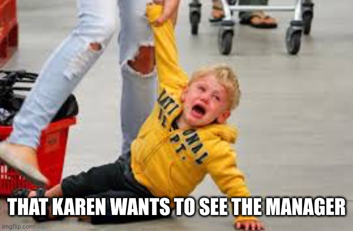 Tantrum store | THAT KAREN WANTS TO SEE THE MANAGER | image tagged in tantrum store | made w/ Imgflip meme maker