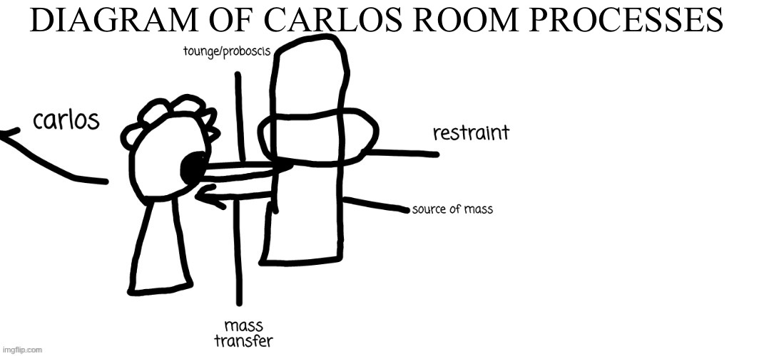 DIAGRAM OF CARLOS ROOM PROCESSES | made w/ Imgflip meme maker