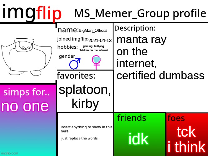 MSMG Profile | BigMan_Official; manta ray on the internet, certified dumbass; 2021-04-13; gaming, bullying children on the internet; splatoon, kirby; no one; tck i think; idk | image tagged in msmg profile | made w/ Imgflip meme maker