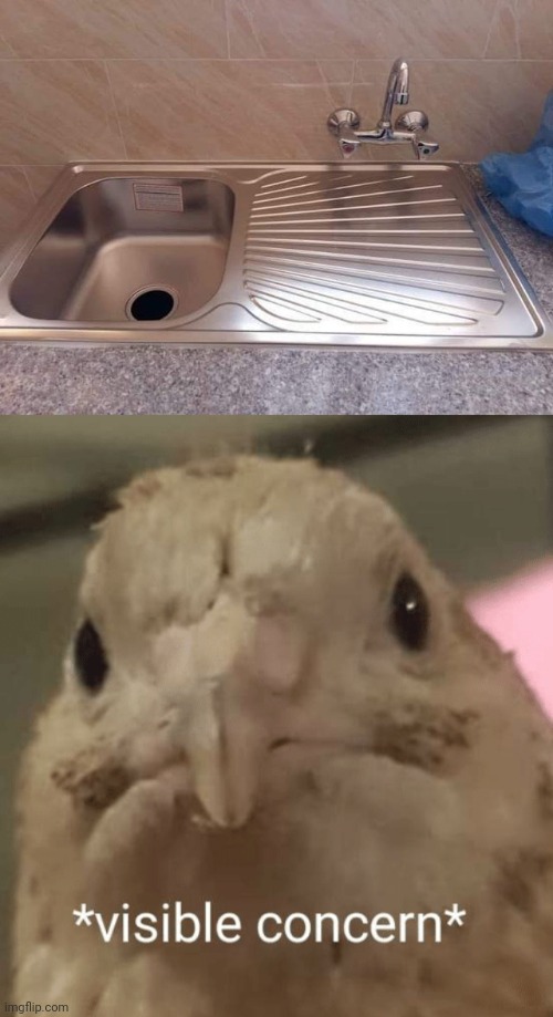 Sink fail | image tagged in visible concern bird,sink,you had one job,kitchen,memes,design fails | made w/ Imgflip meme maker