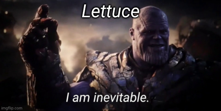 I am inevitable | Lettuce | image tagged in i am inevitable | made w/ Imgflip meme maker