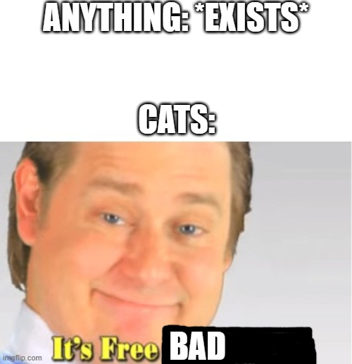 It's Free Real Estate | ANYTHING: *EXISTS*; CATS:; BAD | image tagged in it's free real estate,memes | made w/ Imgflip meme maker