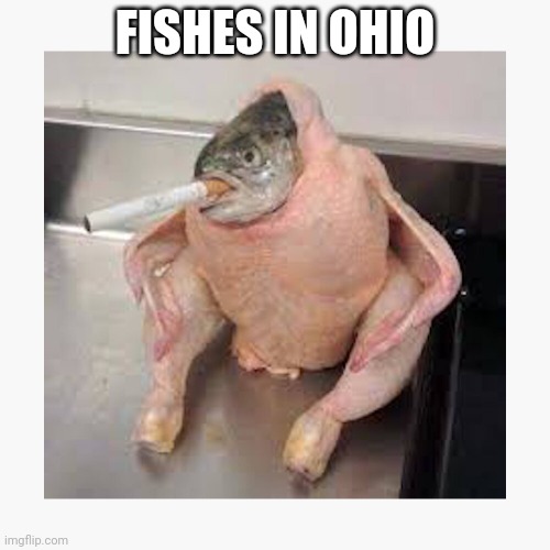 FISHES IN OHIO | image tagged in cursed image,funny,memes | made w/ Imgflip meme maker