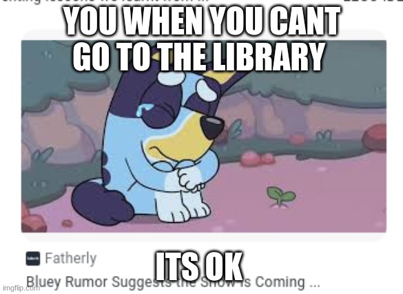 YOU WHEN YOU CANT GO TO THE LIBRARY; ITS OK | made w/ Imgflip meme maker