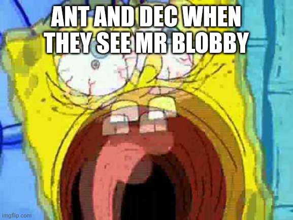 Spongebob Screaming | ANT AND DEC WHEN THEY SEE MR BLOBBY | image tagged in spongebob screaming | made w/ Imgflip meme maker