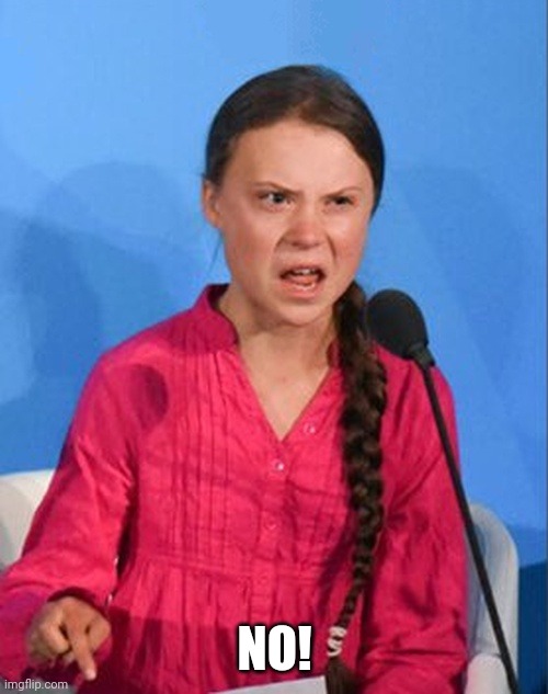 Greta Thunberg how dare you | NO! | image tagged in greta thunberg how dare you | made w/ Imgflip meme maker
