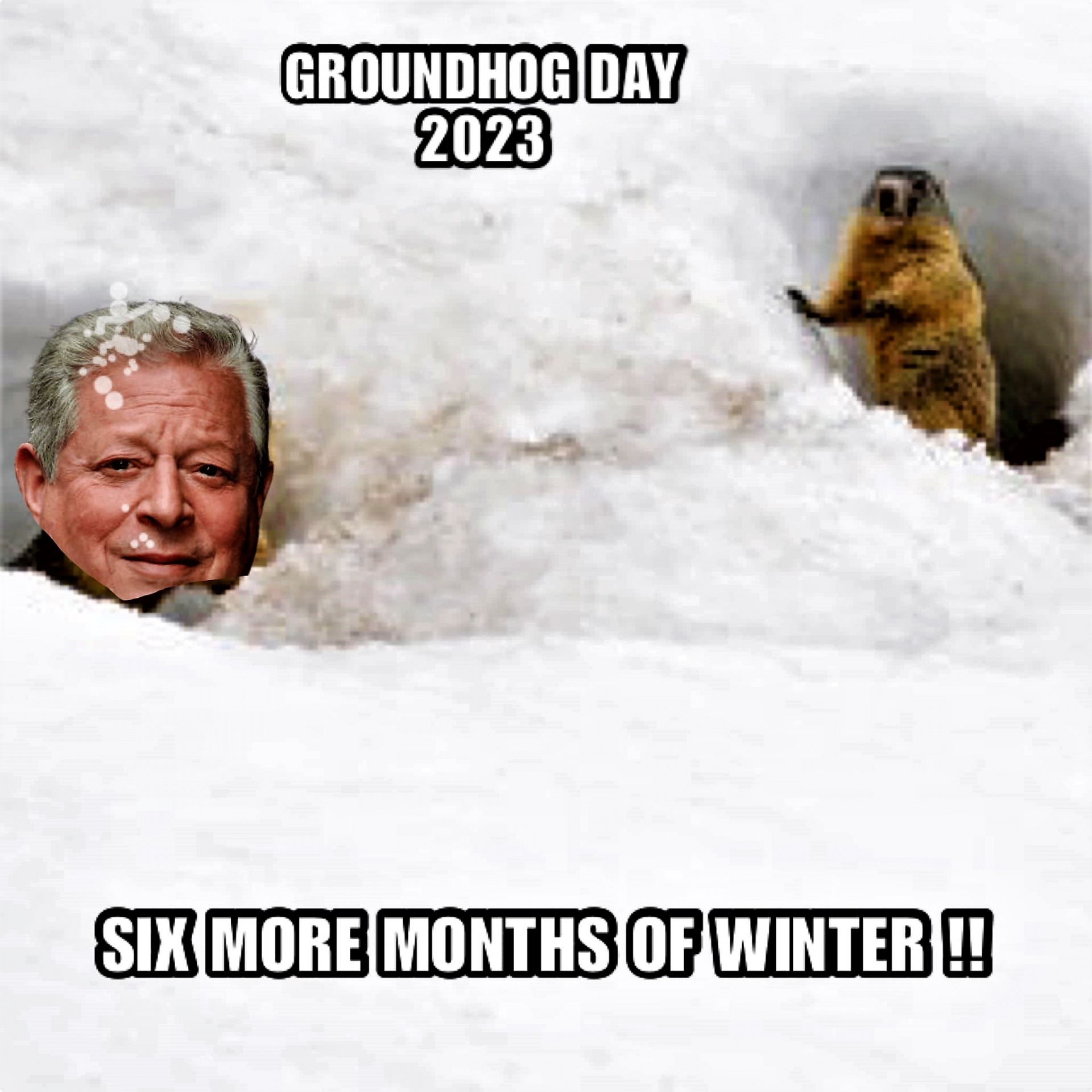 High Quality Al Gore on groundhog day Blank Meme Template