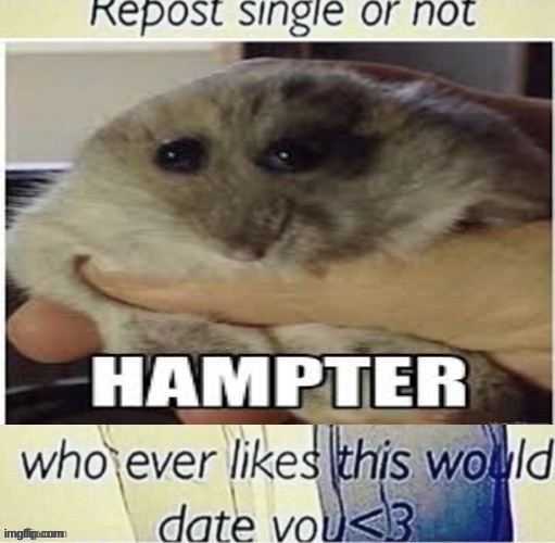 Nobody will upvote | made w/ Imgflip meme maker