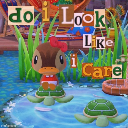 Do I look like I care | image tagged in do i look like i care | made w/ Imgflip meme maker