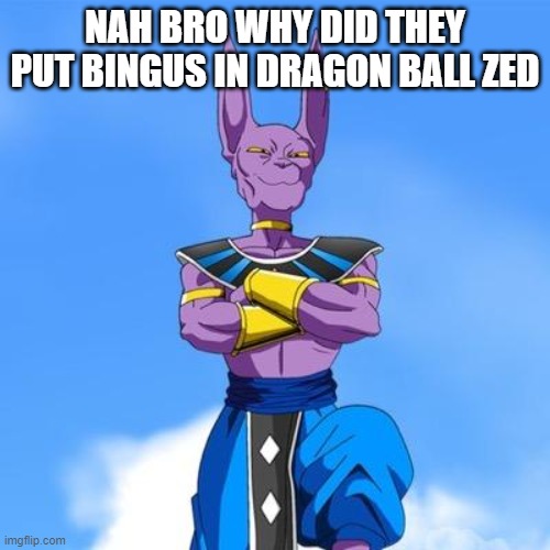 :skull: | NAH BRO WHY DID THEY PUT BINGUS IN DRAGON BALL ZED | image tagged in beerus | made w/ Imgflip meme maker
