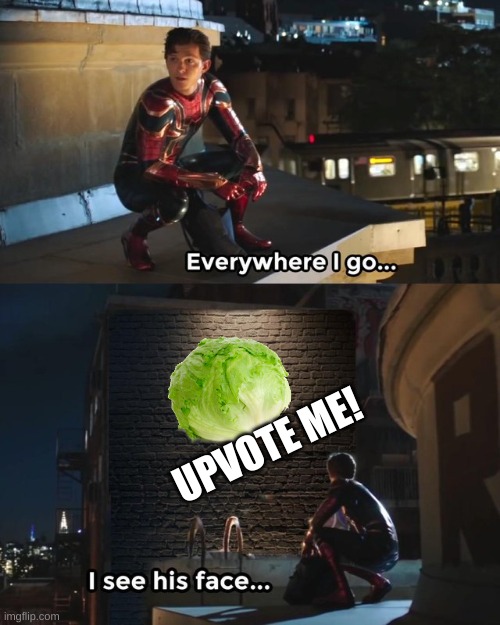 vegetables aren't memes!! stop using them to get upvotes!!! |  UPVOTE ME! | image tagged in everywhere i go i see his face | made w/ Imgflip meme maker