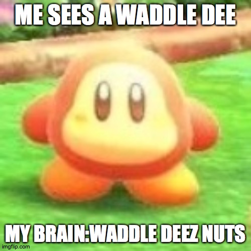 Waddle dee | ME SEES A WADDLE DEE; MY BRAIN:WADDLE DEEZ NUTS | image tagged in waddle dee | made w/ Imgflip meme maker