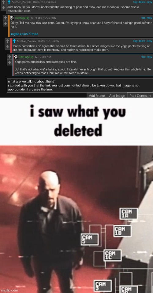 look at me going against the popular opinion that thp is a god and hes so based and awesome and we should worship him. stop dick | image tagged in i saw what you deleted | made w/ Imgflip meme maker