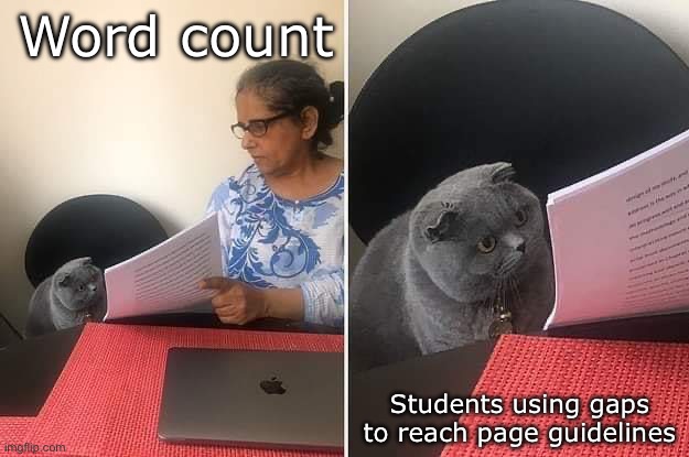 Woman showing paper to cat | Word count Students using gaps to reach page guidelines | image tagged in woman showing paper to cat | made w/ Imgflip meme maker