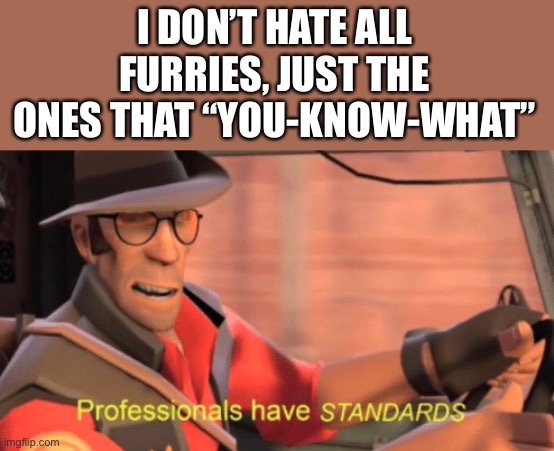 Try to change my mind | I DON’T HATE ALL FURRIES, JUST THE ONES THAT “YOU-KNOW-WHAT” | image tagged in professionals have standards,furries,anti furry | made w/ Imgflip meme maker