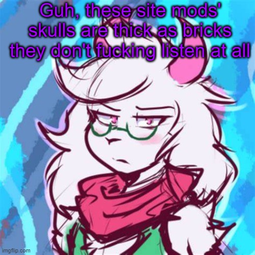 It's always: "Read the TOS" My brother in Christ, one of your mods ARE breaking the TOS. | Guh, these site mods' skulls are thick as bricks
they don't fucking listen at all | image tagged in ralsei temp | made w/ Imgflip meme maker