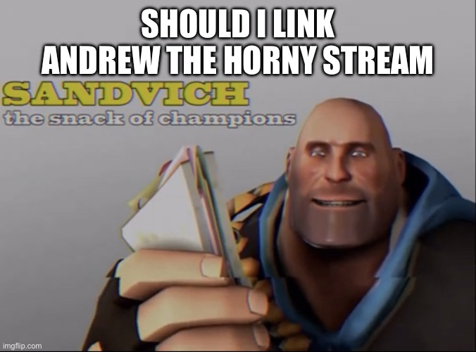 sandvich the snack of champions | SHOULD I LINK ANDREW THE HORNY STREAM | image tagged in sandvich the snack of champions | made w/ Imgflip meme maker
