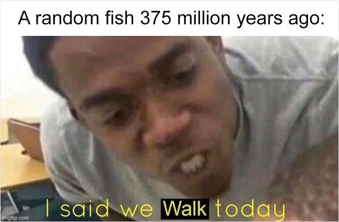 image tagged in memes,funny | made w/ Imgflip meme maker