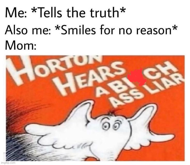 Just a reminder that anyone who flags this is a snowflake because the tos says “moderate cursing is allowed” to keep it sfw | image tagged in memes,funny | made w/ Imgflip meme maker