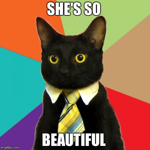 Business Cat | SHE'S SO  BEAUTIFUL | image tagged in memes,business cat | made w/ Imgflip meme maker