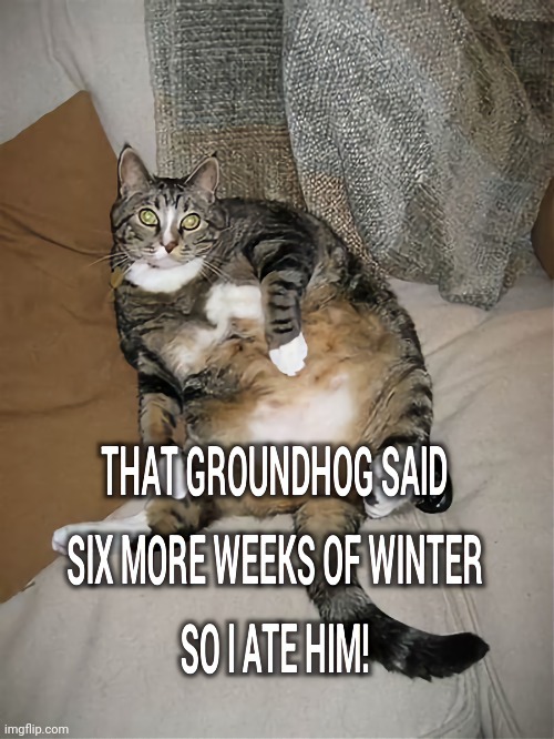 Groundhog Day | image tagged in humor,groundhog day | made w/ Imgflip meme maker