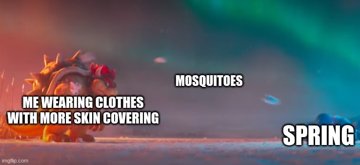 Always be prepare | MOSQUITOES; ME WEARING CLOTHES WITH MORE SKIN COVERING; SPRING | image tagged in bowser gettting hit by snowballs | made w/ Imgflip meme maker