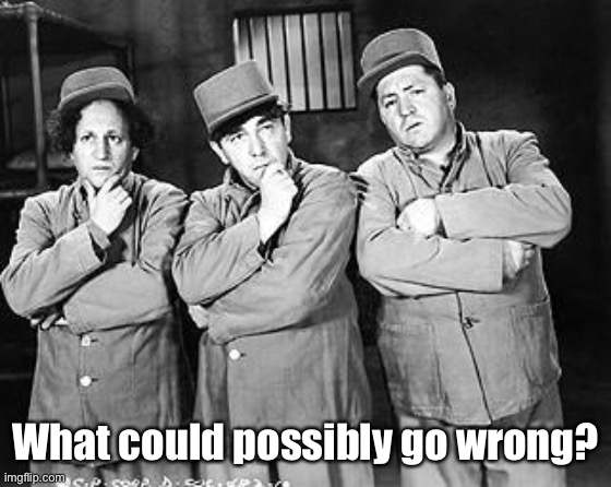 Three Stooges Thinking | What could possibly go wrong? | image tagged in three stooges thinking | made w/ Imgflip meme maker