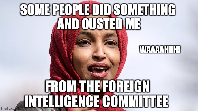 Some people did something | SOME PEOPLE DID SOMETHING 
AND OUSTED ME; WAAAAHHH! FROM THE FOREIGN INTELLIGENCE COMMITTEE | image tagged in memes | made w/ Imgflip meme maker