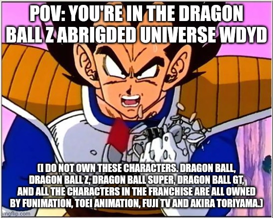 Vegeta over 9000 | POV: YOU'RE IN THE DRAGON BALL Z ABRIGDED UNIVERSE WDYD; (I DO NOT OWN THESE CHARACTERS. DRAGON BALL, DRAGON BALL Z, DRAGON BALL SUPER, DRAGON BALL GT, AND ALL THE CHARACTERS IN THE FRANCHISE ARE ALL OWNED BY FUNIMATION, TOEI ANIMATION, FUJI TV AND AKIRA TORIYAMA.) | image tagged in vegeta over 9000 | made w/ Imgflip meme maker