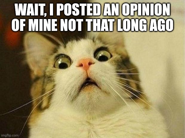 Scared Cat Meme | WAIT, I POSTED AN OPINION OF MINE NOT THAT LONG AGO | image tagged in memes,scared cat | made w/ Imgflip meme maker