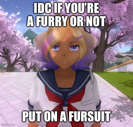 Kashiko Murasaki | IDC IF YOU’RE A FURRY OR NOT; PUT ON A FURSUIT | image tagged in kashiko murasaki | made w/ Imgflip meme maker