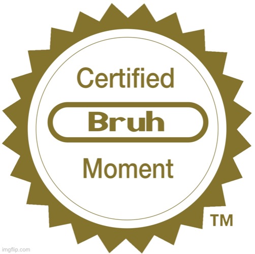 Certified bruh moment | image tagged in certified bruh moment | made w/ Imgflip meme maker