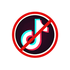 No tiktok Blank Meme Template