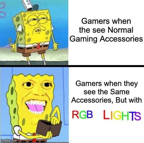 This took me a little while. | Gamers when the see Normal Gaming Accessories; Gamers when they see the Same Accessories, But with; L; G; R; G; B; I; H; T; S | image tagged in spongebob money meme,gaming,memes,funny,video games,gamers | made w/ Imgflip meme maker