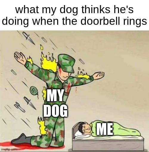 hes 13 lbs | what my dog thinks he's doing when the doorbell rings; MY DOG; ME | image tagged in soldier protecting sleeping child | made w/ Imgflip meme maker